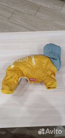 Одежда для собак мелких пород