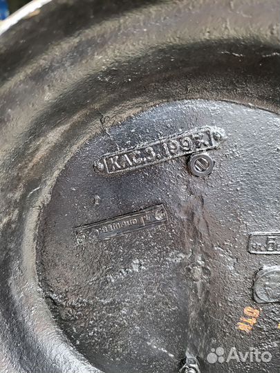 Весна с Амуром. Касли