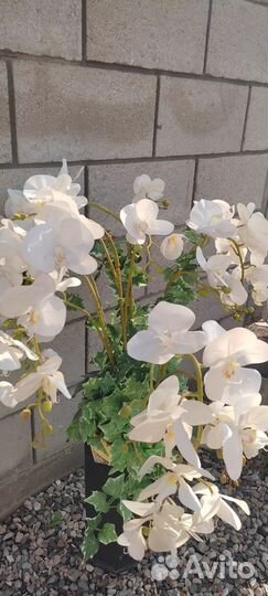 Орхидея в искуственная Латексная