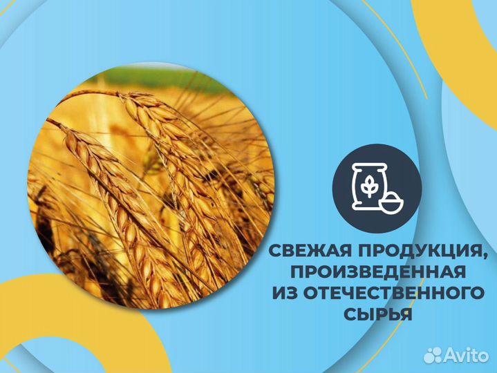Веники для бани-Береза