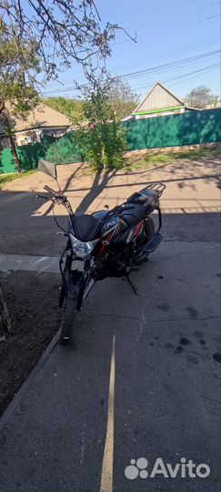 Альфа чамп вопросы в лс