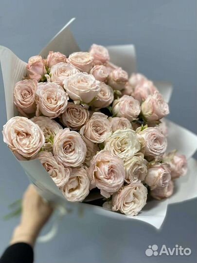 Букет из пионовидной кустовой розы Bombastic