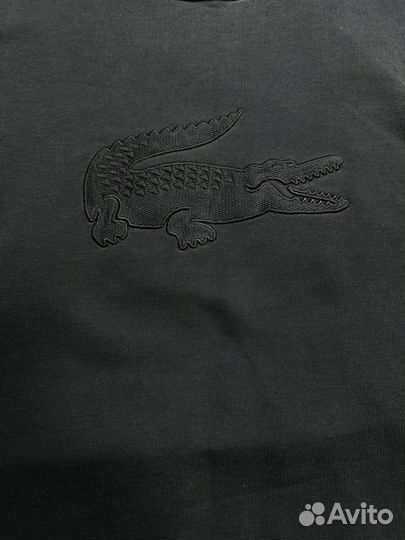 Свитшоты lacoste оригинал