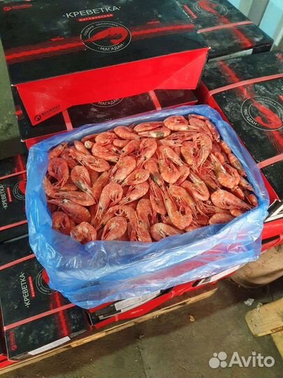 Креветка Магаданская