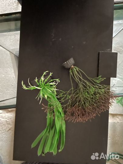 Аквариум для рыб