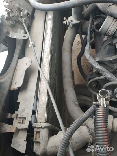 Радиатор охлаждения Peugeot Partner Berlingo M49