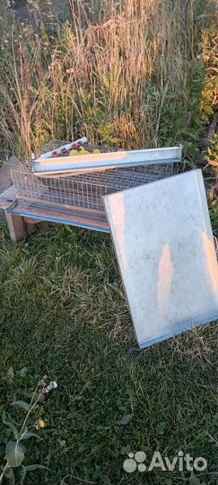 Клетки для перепелов бу