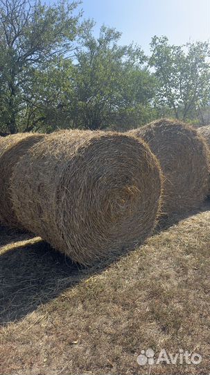 Солома в рулонах