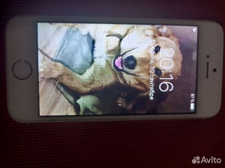 iPhone 5S, 16 ГБ