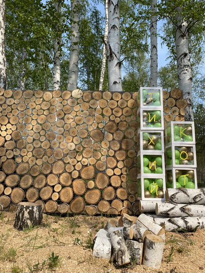 Дом 20 м² на участке 10 сот.