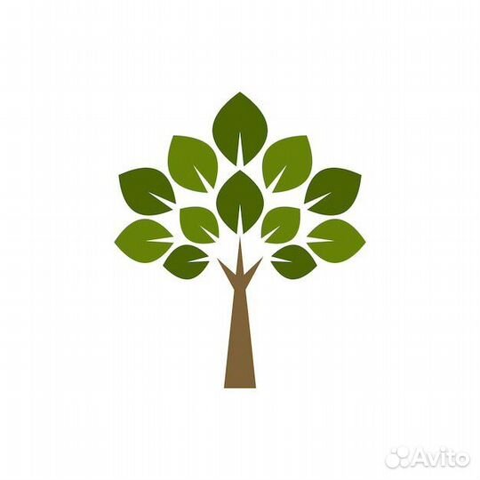 Водитель категории Е