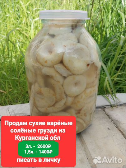 Продам соленые грузди