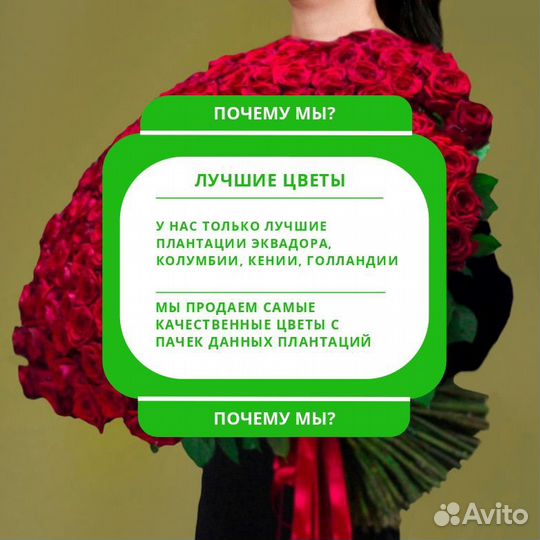 Букет 201 красная роза стандарт цветы доставка
