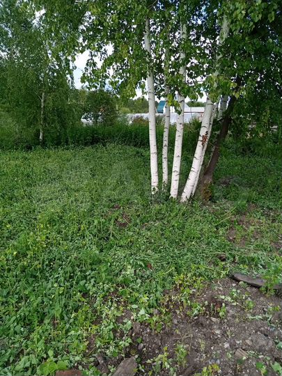 Участок 10 сот. (СНТ, ДНП)