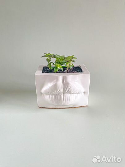 Органайзер для косметики «Губы Джоли»