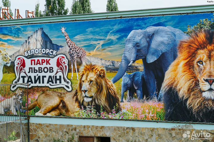 Билет взрослый в зоопарк Тайган крым