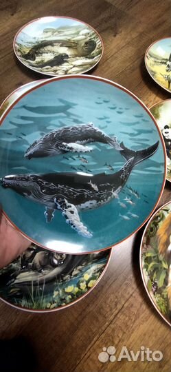 Настенные тарелки villeroy boch