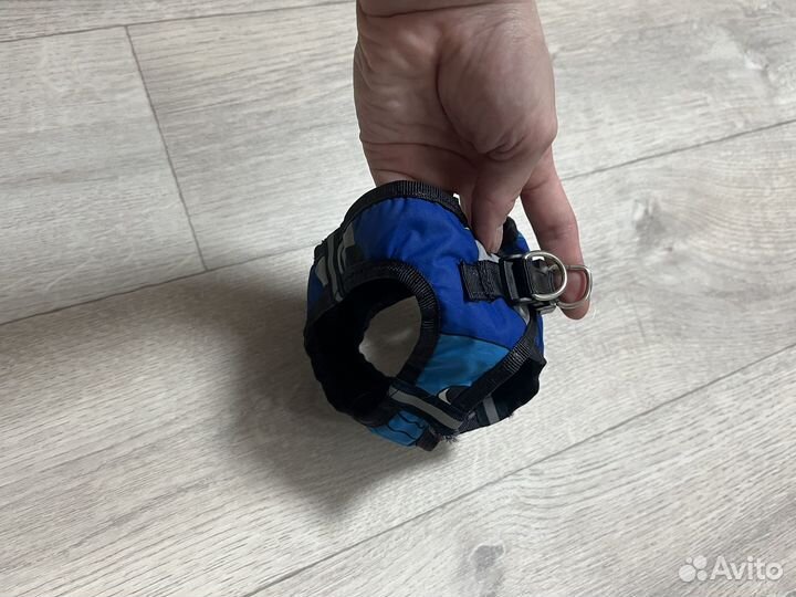 Одежда для собак мелких пород