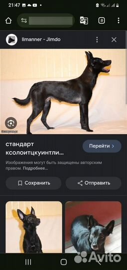 Мальчик в добрые заботливые руки