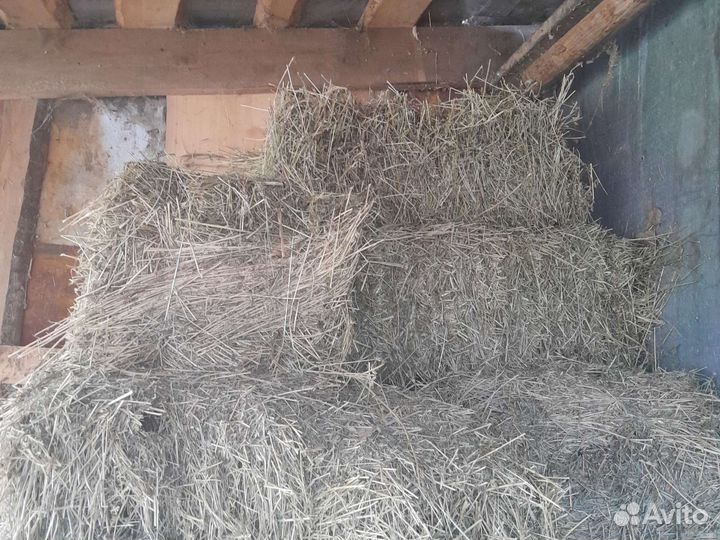 Сено в тюках