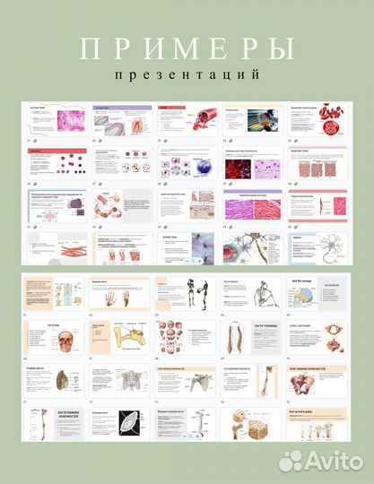 Репетитор по биологии егэ и огэ