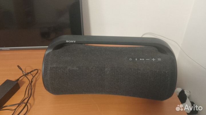 Sony srs xg500