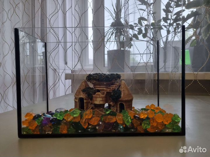 Аквариум