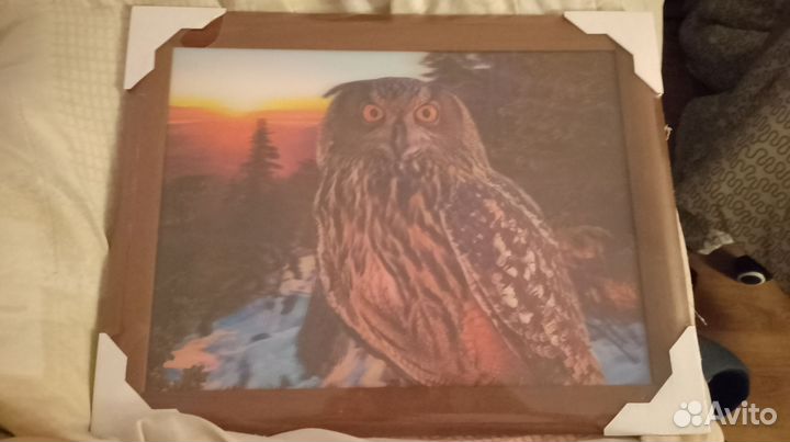 3д картина с Совой