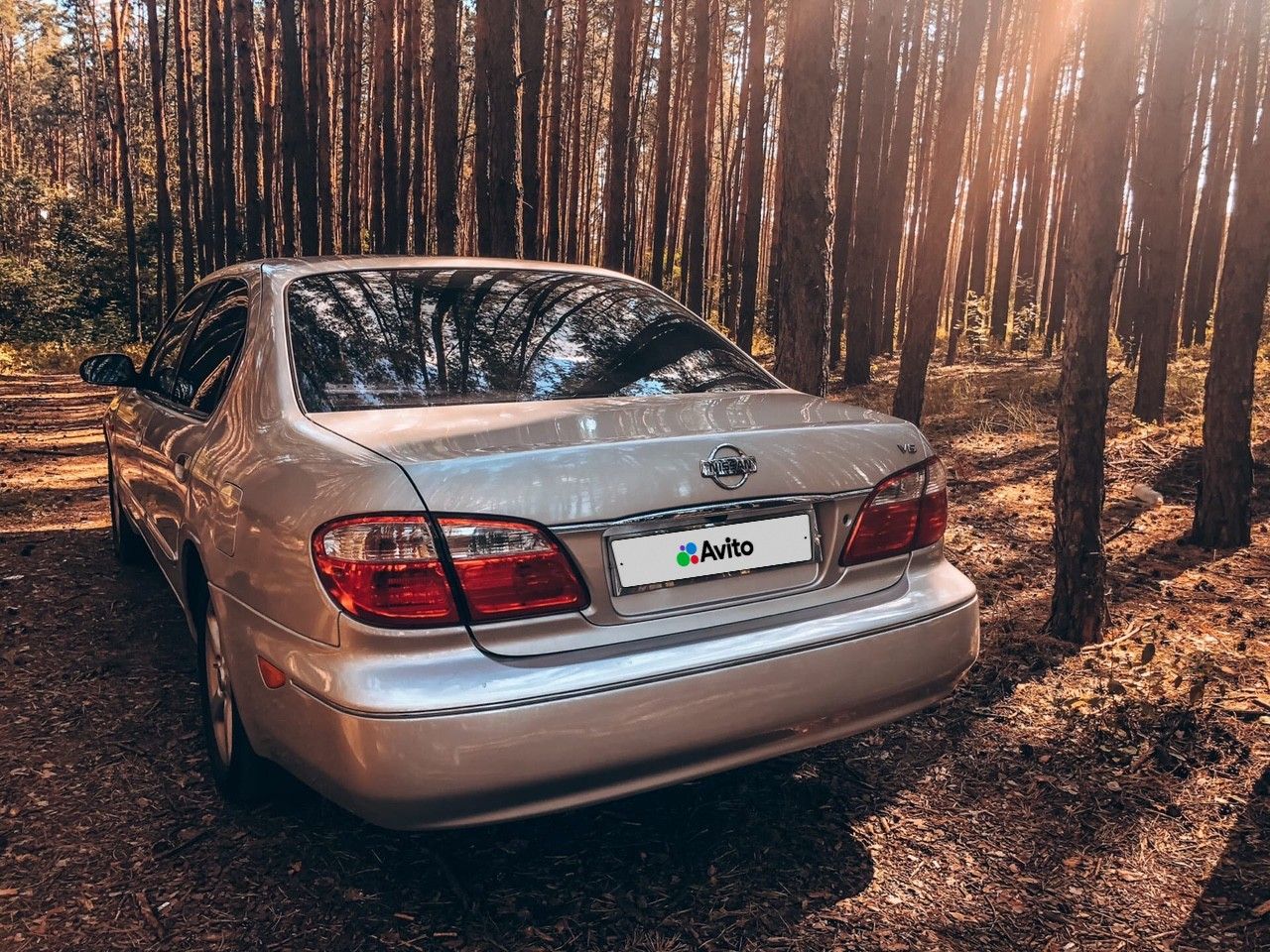 Nissan Maxima: фото владельца