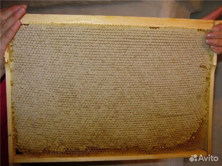 Рамка сот мед большая