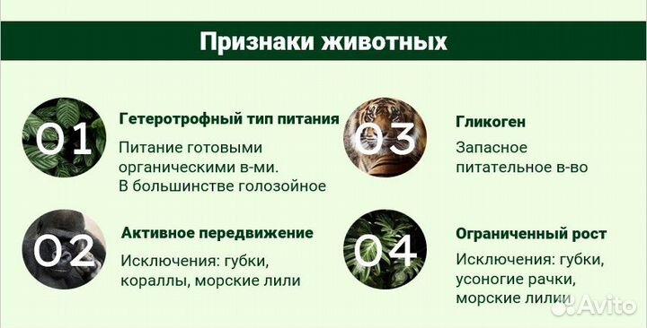 Репетитор по биологии и химии