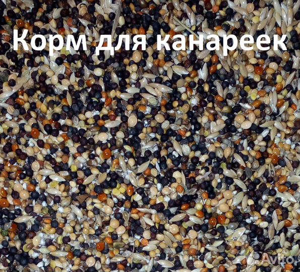 Корм для амадин, канареек и попугаев