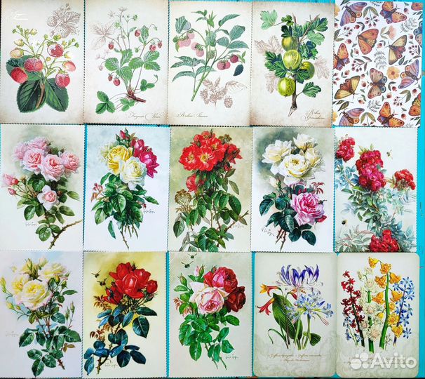 Открытки современные цветы, птицы