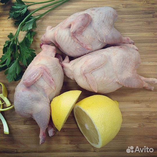 Мясо перепела