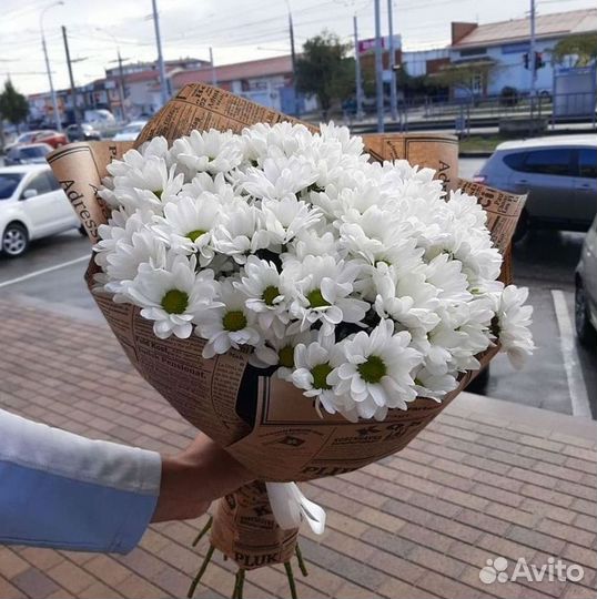 Хризантема