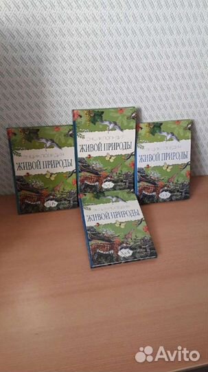 Детская энциклопедия