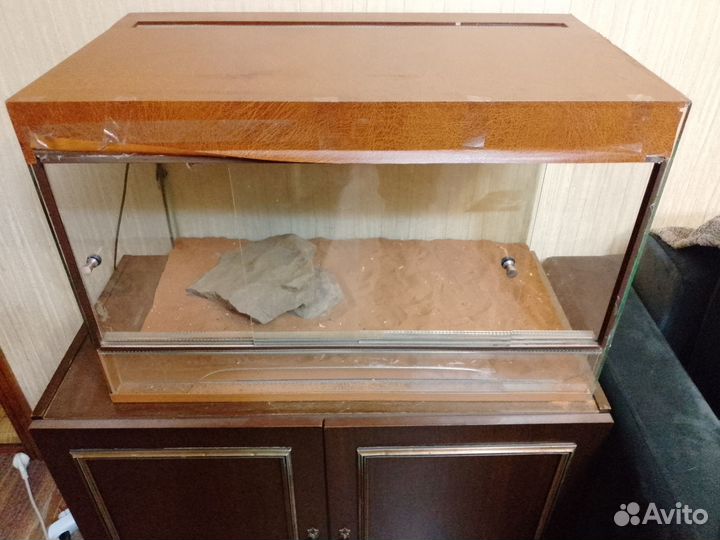 Террариум для рептилий (бородатая агама)