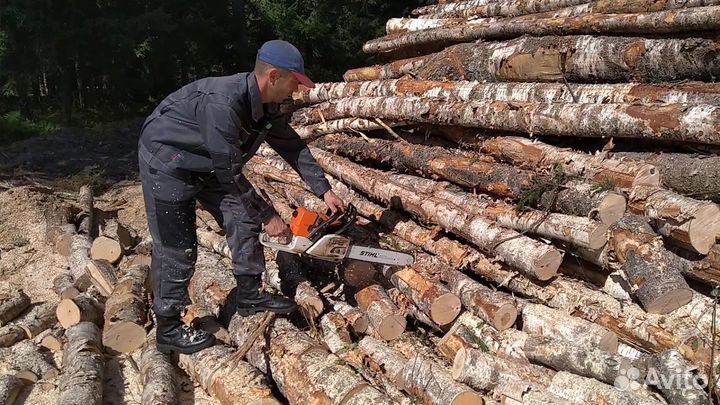 Кольщик дров, пильщик