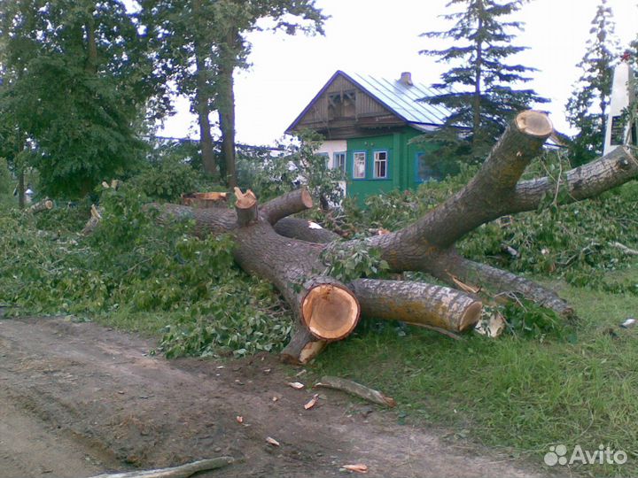 Спил и обрезка деревьев