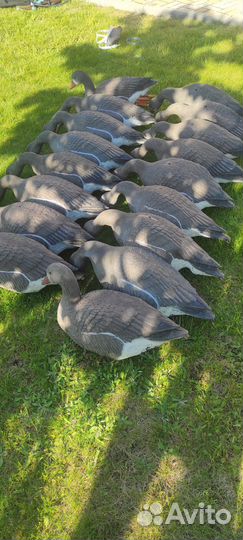 Чучела гусей sport plast