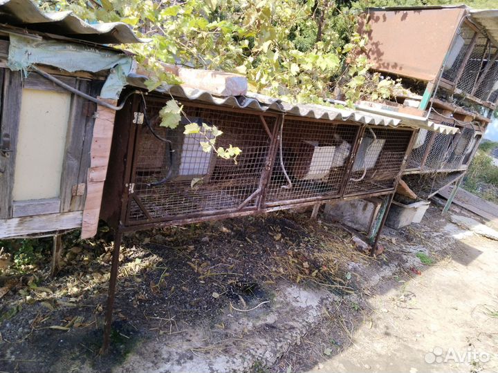 Клетки для кроликов