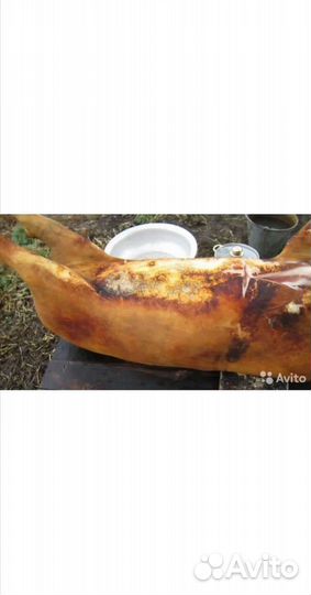 Мясо, сало, свинина домашняя