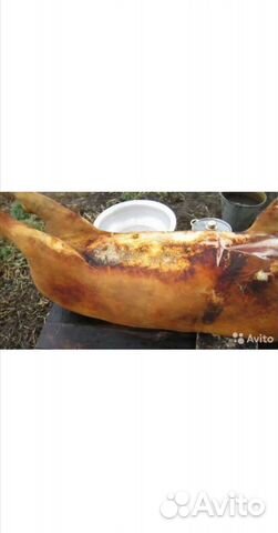 Мясо, сало, свинина домашняя