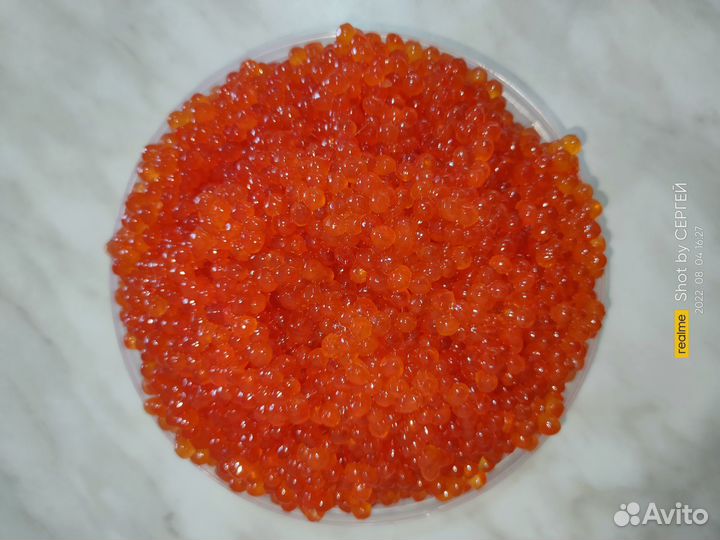 Красная Икра (Горбуша, Кета). Вылов 2023. Доставка