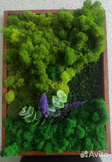 Картина из стабилизированного мха