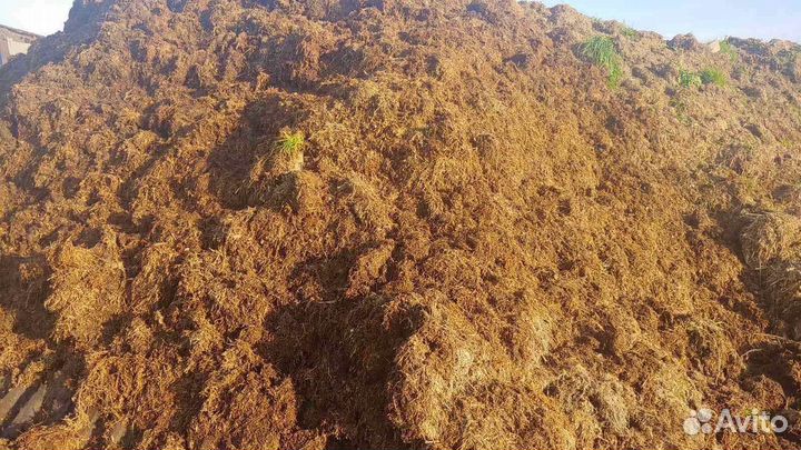 Перегной, навоз конский, навоз коровий