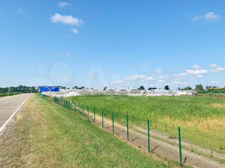 Готовый тепличный бизнес