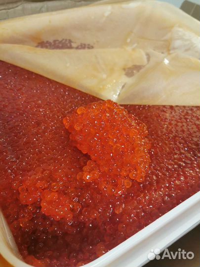 Икра красная оптом и в розницу