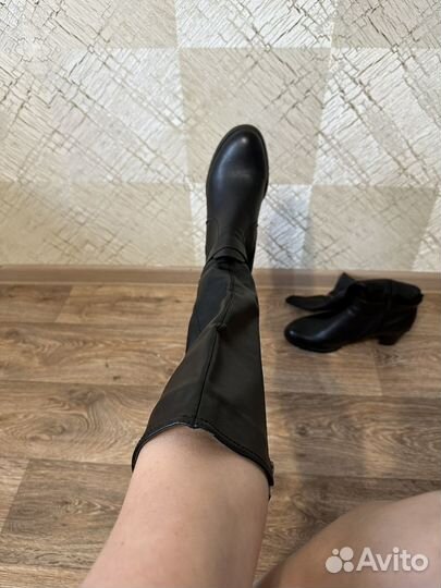 Женские сапоги осенние