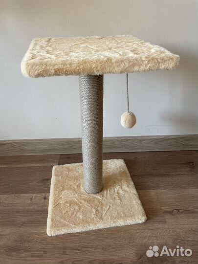 Когтеточка